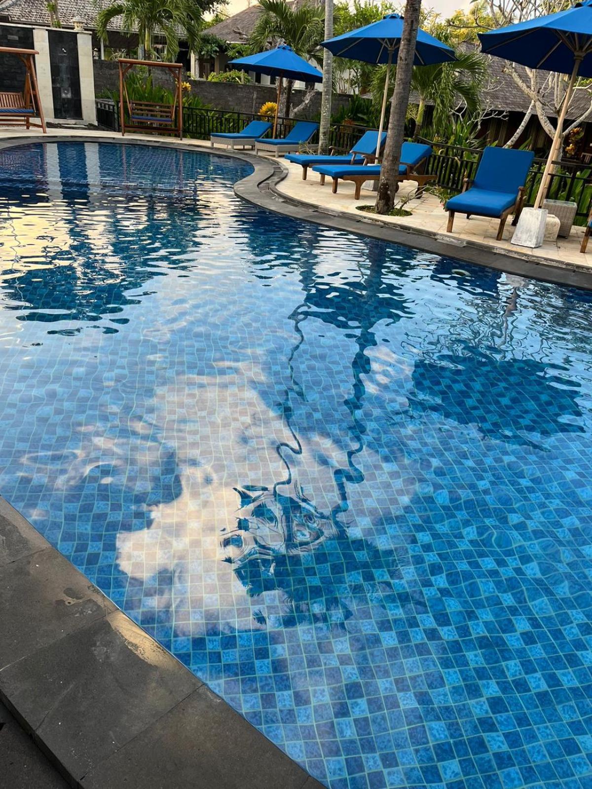 Balangan Surf Resort Jimbaran Eksteriør bilde